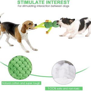 Lantopper Dog Plush Toys - Squeaky Toys Rope Toy Durable Tug Toys for Chewers Pu